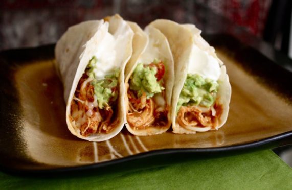 Shredded Chicken Tacos – 99easyrecipes