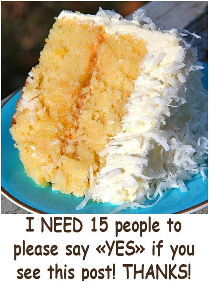 Very Moist Coconut Sheet Cake 99easyrecipes