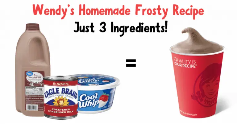 Homemade Wendy’s Frostys – 99easyrecipes