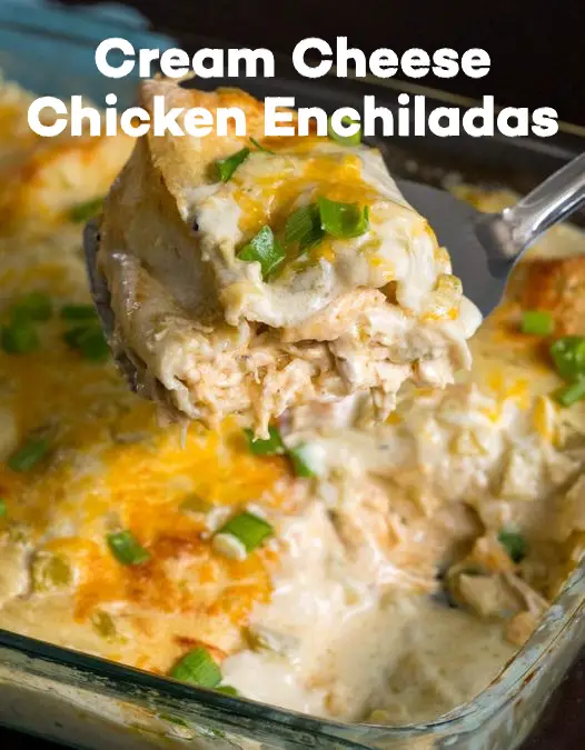 Cream Cheese Chicken Enchiladas – 99easyrecipes