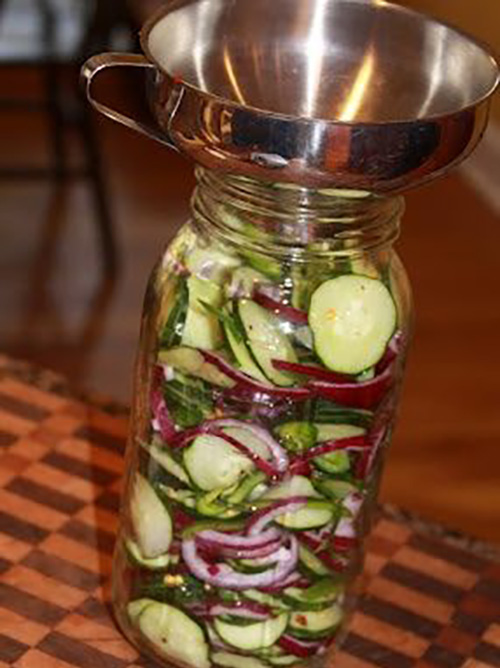 Refrigerator Cucumber Salad Page 2 99easyrecipes