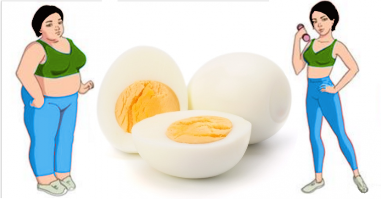THE BOILED EGG DIET: LOSE UP 22 LBS N 14 DAYS 2024 | TIPS