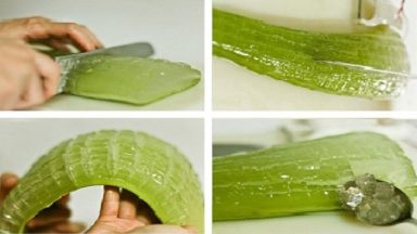 MIND BLOWING REASONS WHY ALOE VERA IS A MIRACLE MEDICINE PLANT. YOU WILL NEVER BUY EXPENSIVE PRODUCTS AGAIN! 2024 | TIPS