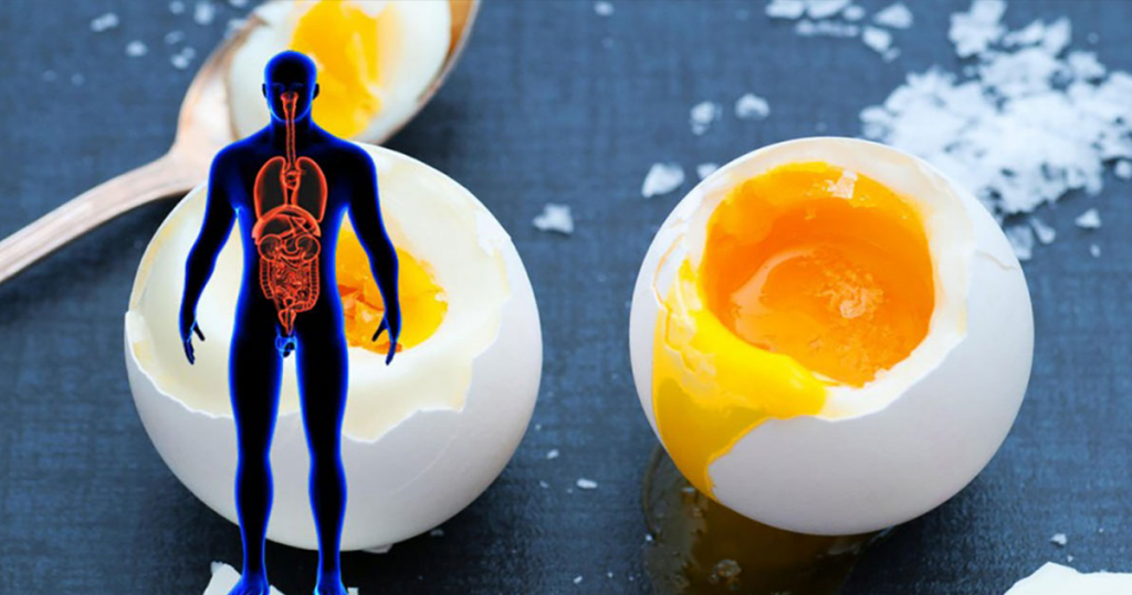 What Happens When You Eat 3 Whole Eggs Every Day? 99easyrecipes