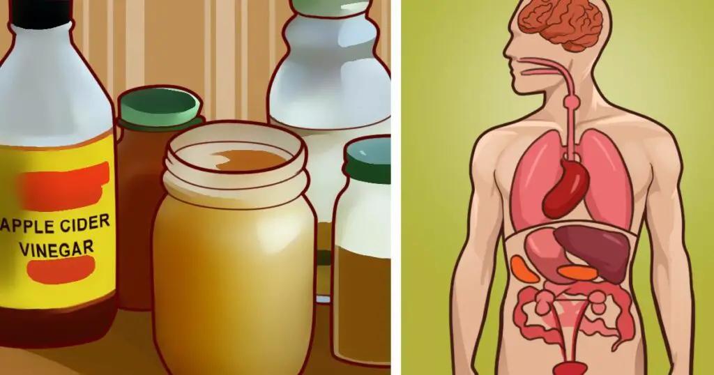 10 Most Powerful Natural Antibiotics Known To Mankind 99easyrecipes