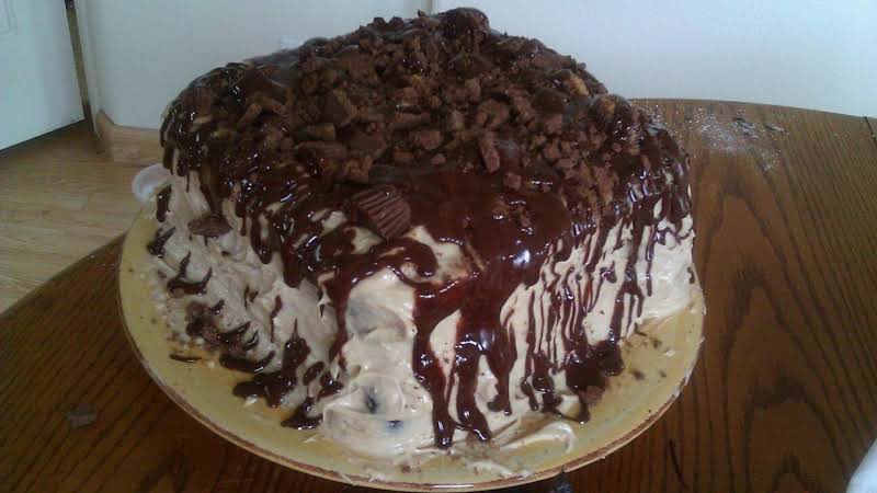 Blue Ribbon Chocolate Cake – 99easyrecipes