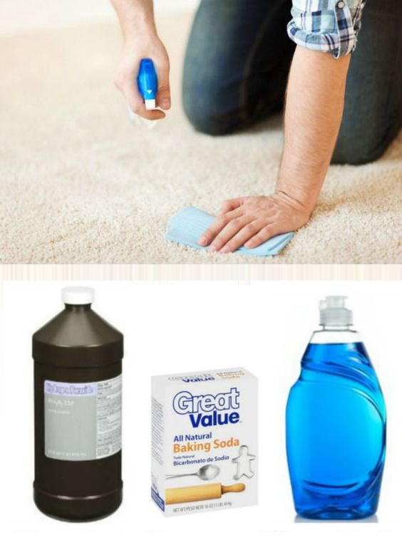 Homemade Carpet Stain Remover Recipe Simple & No Scrub