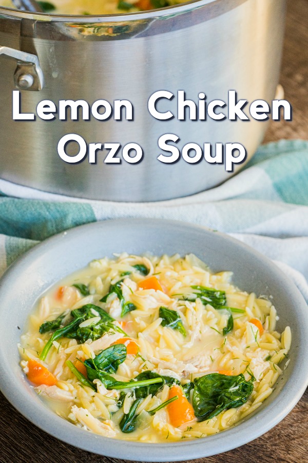 Lemon Chicken Orzo Soup – 99easyrecipes