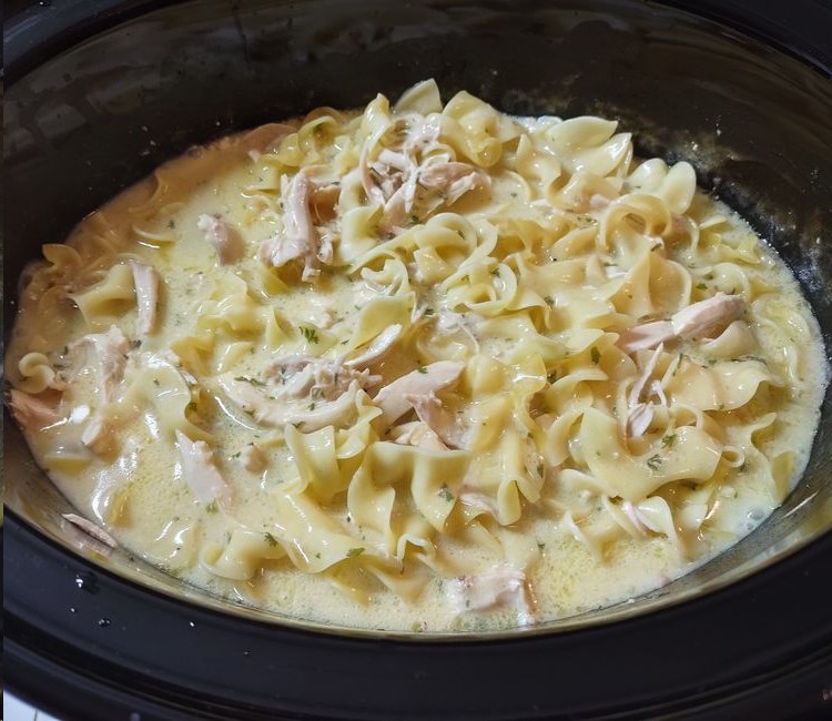 Slow Cooker Chicken and Noodles 99easyrecipes