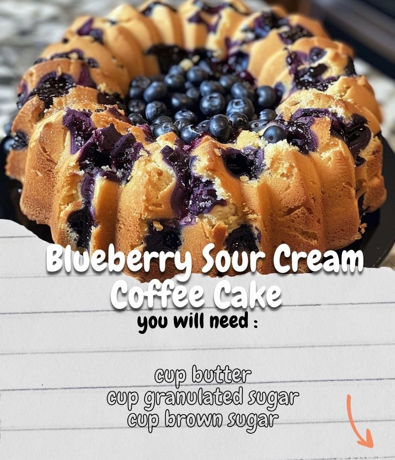 Blueberry Sour Cream Coffee Cake 99easyrecipes